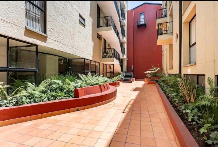 Hermoso Apartaestudio En El Centro Historico بوغوتا المظهر الخارجي الصورة